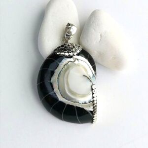 NEW Sterling Silver Nautilus Shell pendant in black